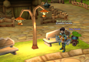 Options Settings | Madrigal Inside | Flyff Project M Wiki