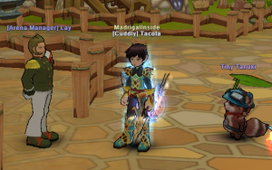 Options Settings | Madrigal Inside | Flyff Project M Wiki